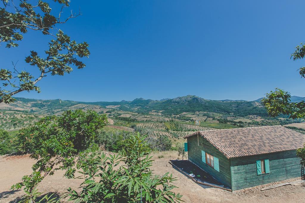 La Brizna Guest House Cañamero Cameră foto